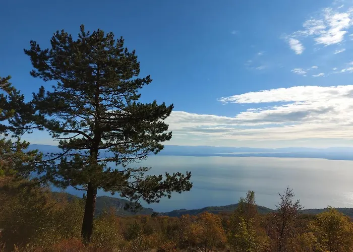 达莉亚公寓 * 洛夫兰