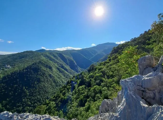 达莉亚公寓 公寓 洛夫兰