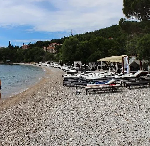 达莉亚公寓 * 洛夫兰