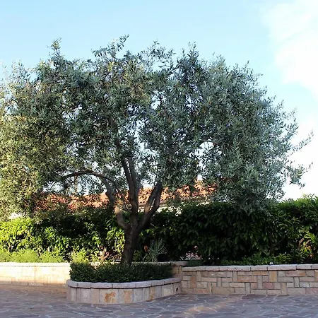 Apartment Dalia