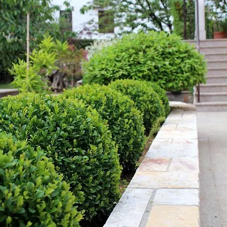 Dalia Apartment *