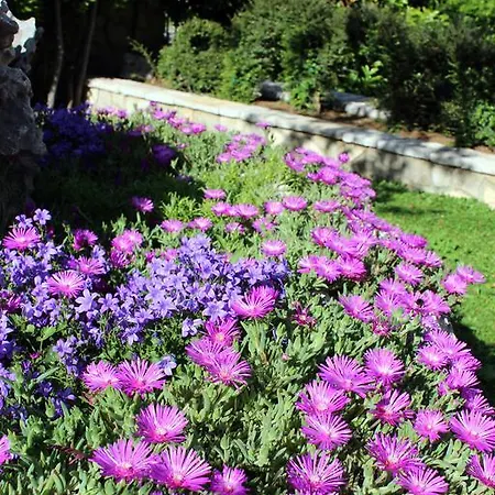 Apartment Dalia *