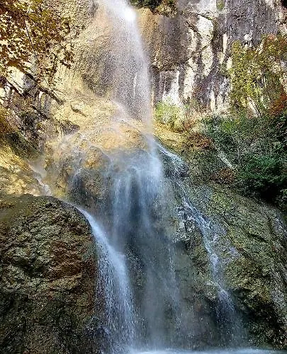 Dalia