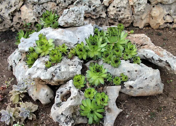 Dalia Apartamento Lovran