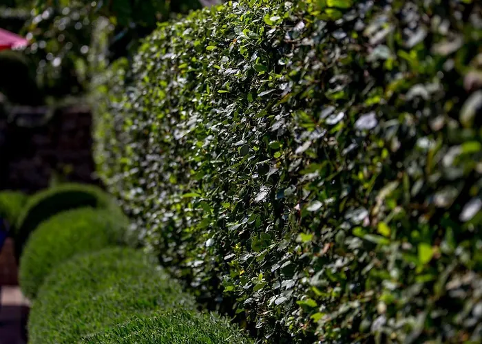 Dalia Apartamento Lovran